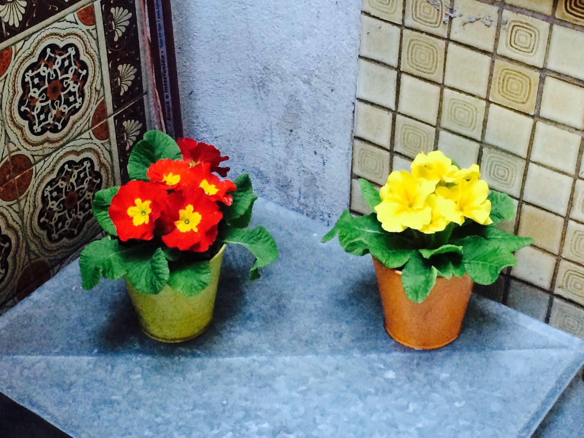 Petit Recoleta Hostel بوينس آيرس المظهر الخارجي الصورة
